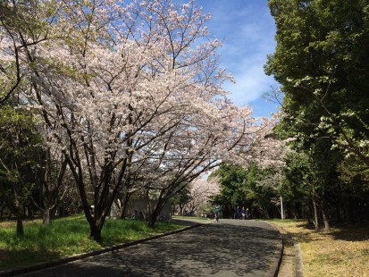 山田池公園1