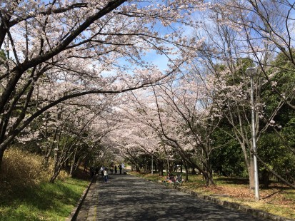 山田池公園2