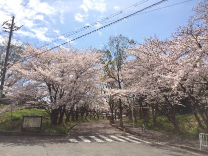 王仁公園